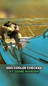Odd cooler checked by GAME WARDEN | Super18