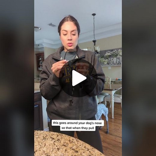 Revolutionize Dog Walking with Gentle Leaders