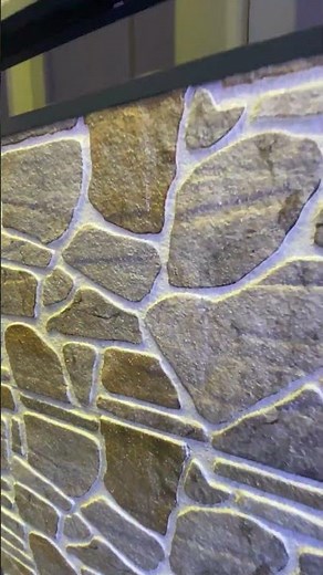 Elevate Your Space with 3D Decorative Wall Panels, Showroom /1