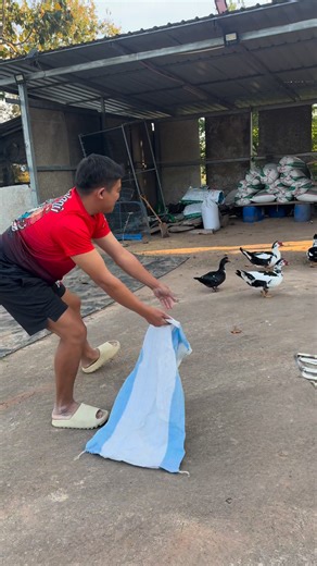 #ยับเป็ดแบบเซียน | Tor SpeedMan