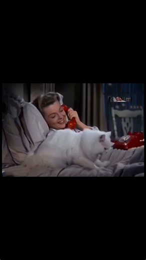 Pillow Talk (1959) Romance/Comedy