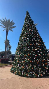 Beautiful day to enjoy The Avenue Viera. | Florida's Space Coast