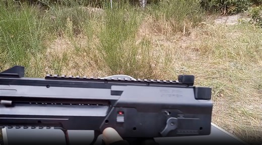 Watch Quick Look Umarex Steel-Storm  on Amazon Live