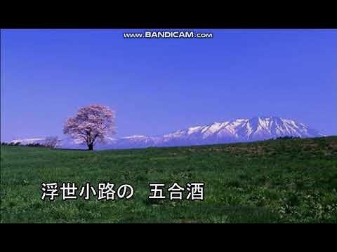南部蝉しぐれ（カラオケ）福田こうへい