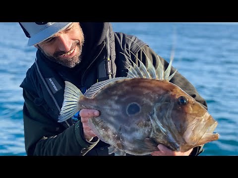 HOW TO: CATCH JOHN DORY