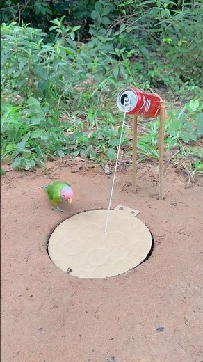 Innovative Beautiful Unique Trap #shortvideo