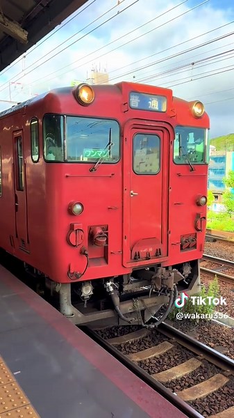 TikTokでWakaruさんをチェック！