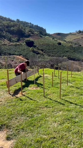 Alex Demuner on Instagram: "🌿 Construa sua própria horta elevada em 1 dia | Build your own raised garden bed 🌱 📘 Manual completo (PDF) — Link na bio"