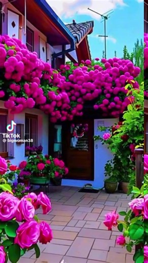 Bevo_☺️ (@bevo_90)’s videos with original sound - Bevo_☺️