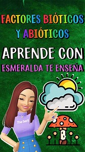 🦠🍄🌤Explora con tu profesora Esmeralda los factores bióticos y abióticos que conforman nuestros ecosistemas. 🌎 🤓Aprende cómo estos componentes se relacionan y mantienen el equilibrio en la naturaleza. #esmeraldateenseña 📌Para más videos educativos, visita nuestro canal de YouTube: Esmeralda Te Enseña y sigue nuestro contenido en Twitch: esmeraldateensena. . #CicloEscolar #PrimerGrado #TercerGrado #segundogrado #CuartoGrado #QuintoGrado #sextogrado #materialdidactico #AulaCreativa #plantas #
