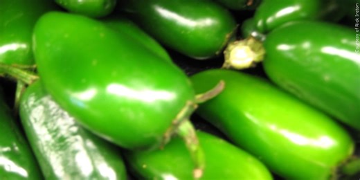 WBCA Media Jalapeño Challenge set for Wednesday