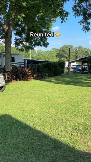 2 months since prom and she remembered our handshake…