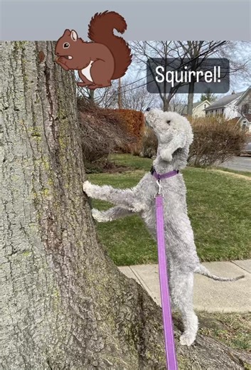 Janice Dean on Reels