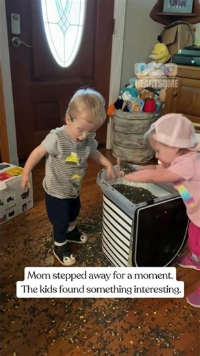Kids Make Chaos with Bird Seed | Siblings' Hilarious Unsupervised Antics