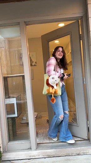 Apollo bloopers 🤣 | Cats Cash