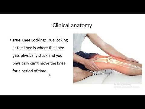 Anatomy of locking of the knee joint with clinical anatomy