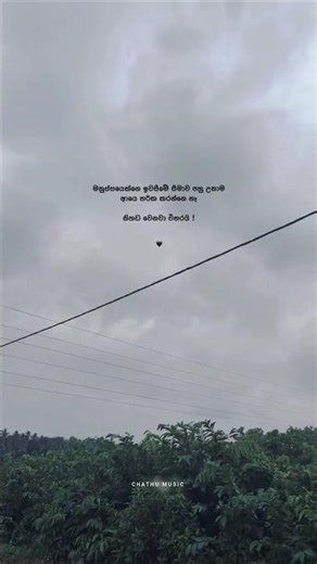 C H A T H U M U S I C 🦋 #viralvideos #feeling #status #music #vadan #love #song #life #srilanka