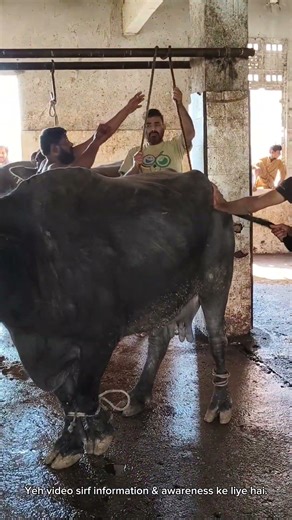 Slaughter House Ka Hidden System 🔥 | Full Tour