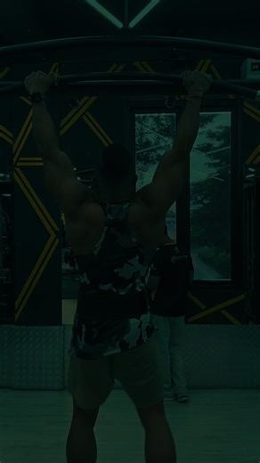 Effective Back Workout Routine for Fitness Enthusiasts