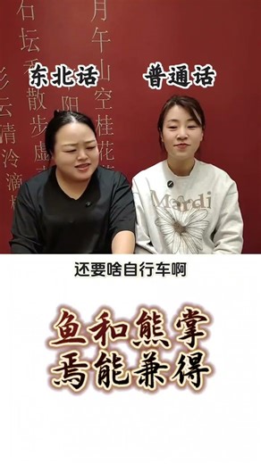 Here I Am Again: Mastering the Northeastern Dialect Challenge