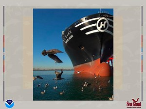 GREEN PORTS - SlideServe