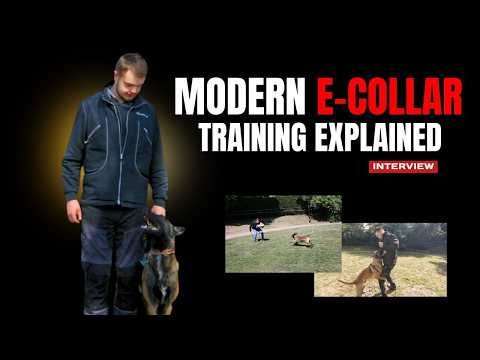 Are We Getting E-Collar Training Wrong?