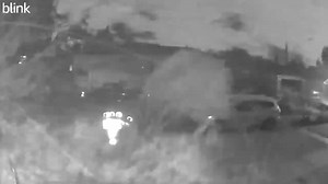 6.7K views · 72 reactions | WOW!  High winds damage trees, send debris flying during storms in Chicago on Monday. | Action News 5 | Facebook