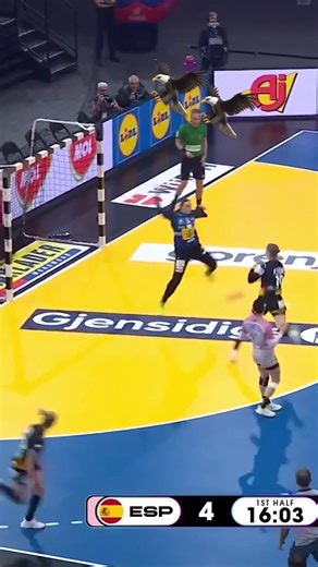 Teamwork in Handball: Alina and Nieke Collaboration