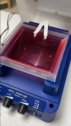 Ripple Tank: let's get colourful