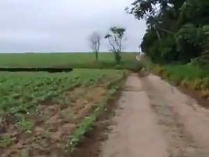 8.6K views · 215 reactions | Bullet train spotted | Gurugamer.com | Facebook