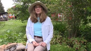 Join us for Virtual Walk with a Doc! This week, Dr. Carla Errickson, Dermatologist at St. Luke's Dermatology in Center Valley, explains how to identify poison ivy while you're out walking in nature. Watch Dr. Errickson's informational talk and get out for a walk! | St. Luke's University Health Network