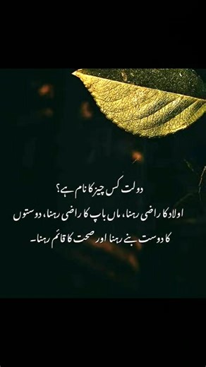 Global Perspectives on Reels