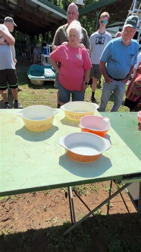 Choice of Pyrex sold at auction ￼