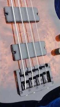 I got a second c-4 schecter standard with a KSM. music bridge on it ya