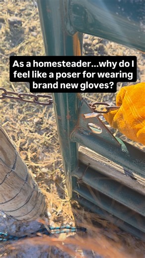 Abby Formanack on Instagram: "Actually.... new gloves... new boots....I need a mud puddle or something to jump in ~ but there is ice everywhere.#essencehomestead #westernwisconsin"