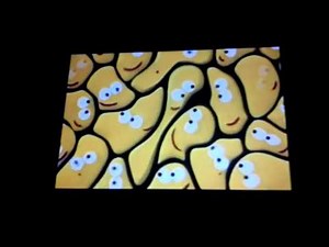 Cbeebies Crowd Ident
