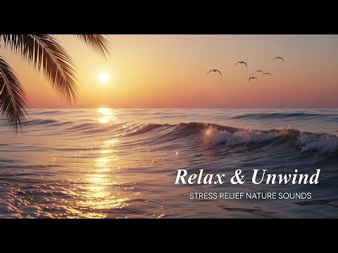 Sunset Relaxation – Gentle Waves, Cool Breeze & Soaring Birds to Wash Away Stress