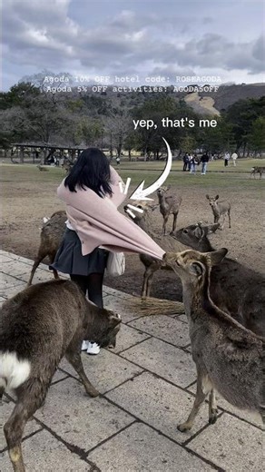 Lesson learned: Hide the crackers...unless you're ready to get mobbed at Nara Park 😭🦌