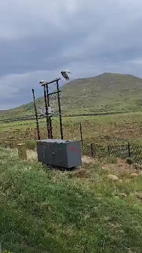 The beauty of the Mountain kingdom of Lesotho 🇱🇸 Maletsunyane Braai Festival is calling my name | Lenka Lenka