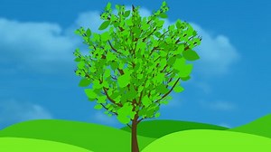 Growing Tree Animation Wavy Leaves. An animated illustration/cartoon of a tree growing and leaves popping up on the branches. The leaves have texture and wiggle and move for action. comes with matte