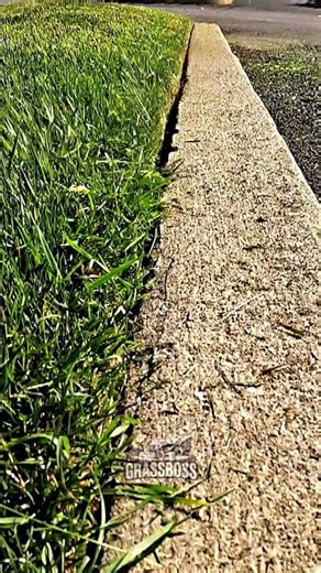 Sharp Garden Lawn Borders and Clean Grass Edge Trimming for Fresh Look 🌿 | #lawncare #trimming