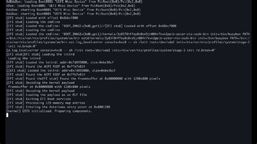 Asterinas NixOS 0.17.0 - ISO Installer demo
