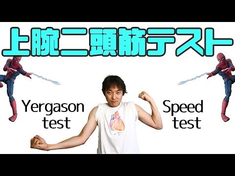 上腕二頭筋テスト(Speed test ＆Yergason test)：肩関節(Part.6)