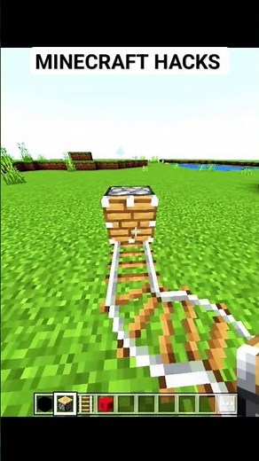 Minecraft Tiktok Hacks #shorts #minecraft