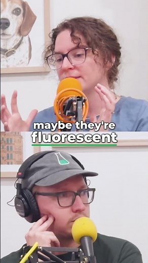 How Glow in the Dark Works: The Science Behind It