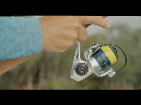 Quantum Strive Combo Specs