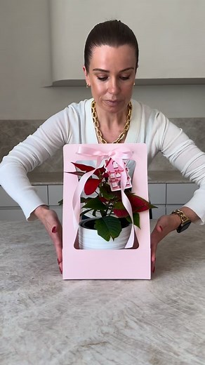 Here’s a really lovely festive gift idea you can recreate for around $25, perfect for teachers, work colleagues or neighbours, and it also makes the sweetest little table-setting or centrepiece. What you’ll need: • Poinsettia (125mm) from Bunnings $9.98 • Bergamo White Pot 12cm $10.48 • Flower carrier $23 for 5 (≈ $4.60 each) Total cost per gift: ≈ $25.06 A quick tip: choose a poinsettia that’s on the smaller side so it sits nicely in the lower-style carrier. I actually took my carrier into Bunn