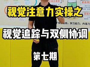 视觉注意力实操～视觉追踪&双侧协调训练第七期