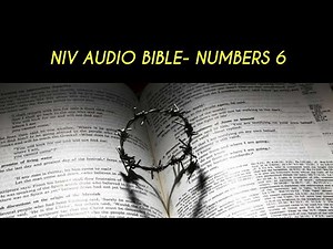 NUMBERS 6 NIV AUDIO BIBLE (with text)