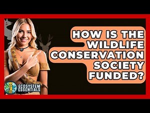 How Is The Wildlife Conservation Society Funded? - Ecosystem Essentials